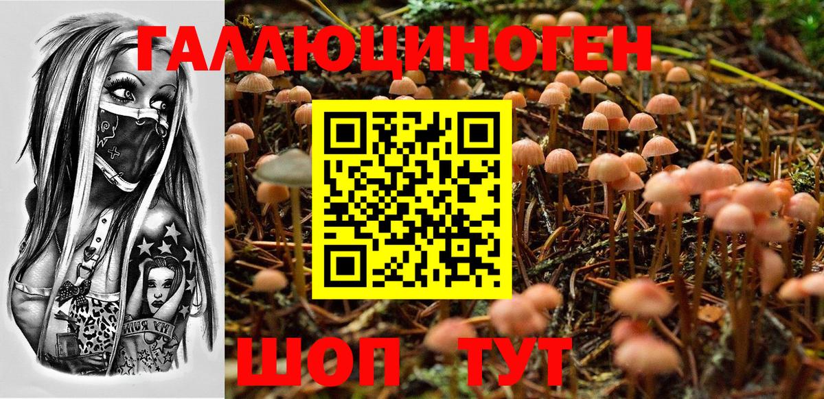 Галлюциногенные грибы мухоморы  Псилоцибиновые грибы Cubensis  Вход с VPN  Дубна 