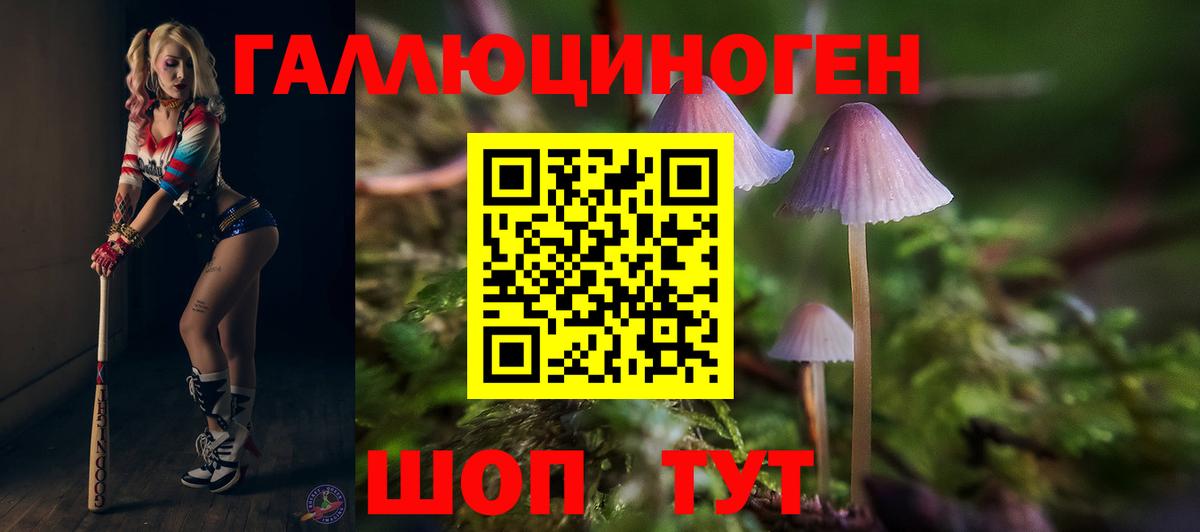 Галлюциногенные грибы ЛСД Дубна